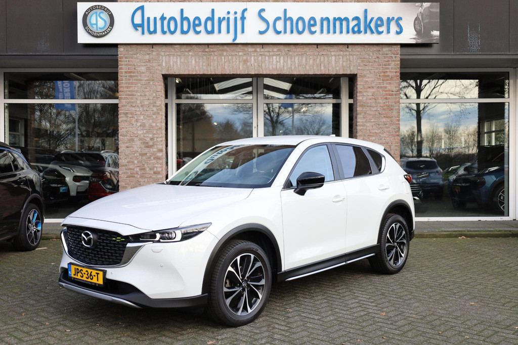 49513375