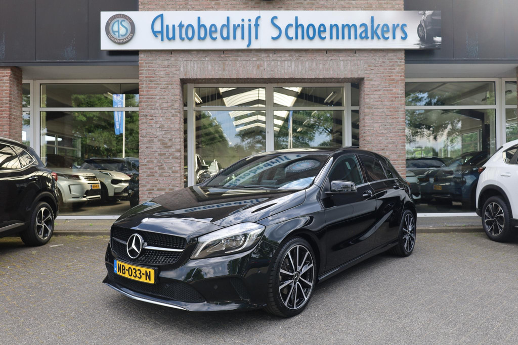 53965557