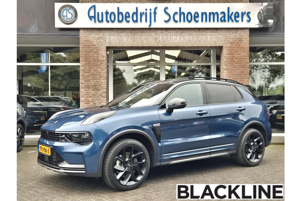 54669955