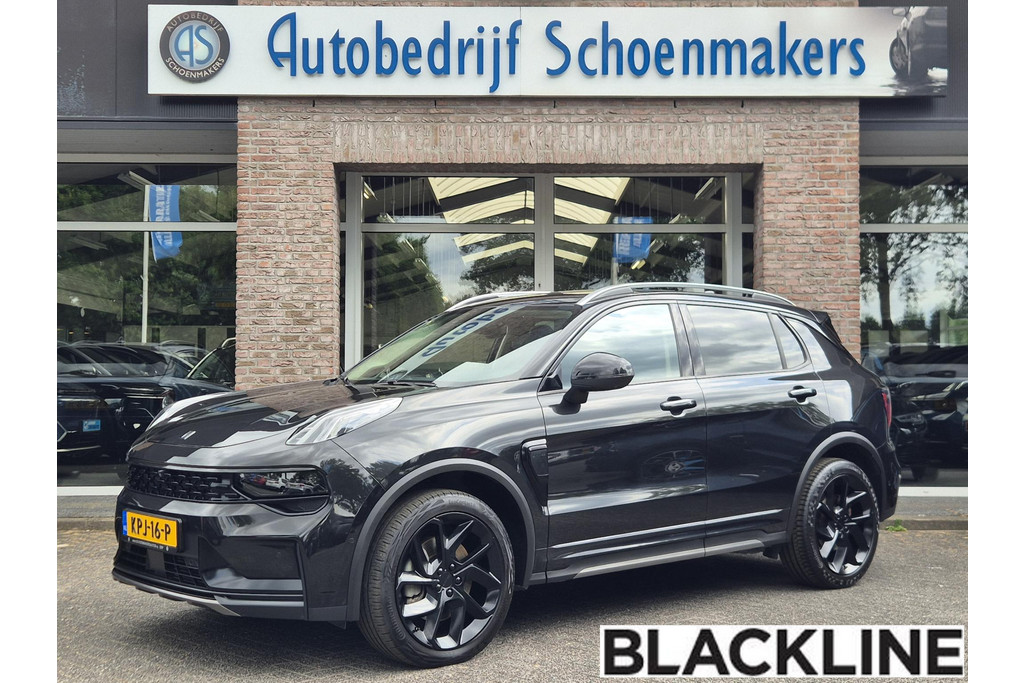 55376084