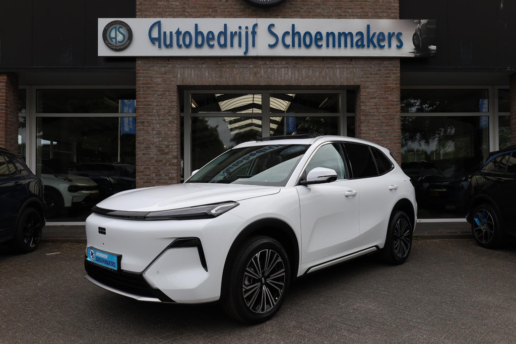 55379880